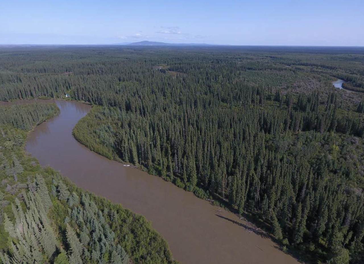 NHN Teklanika River - Photo 1