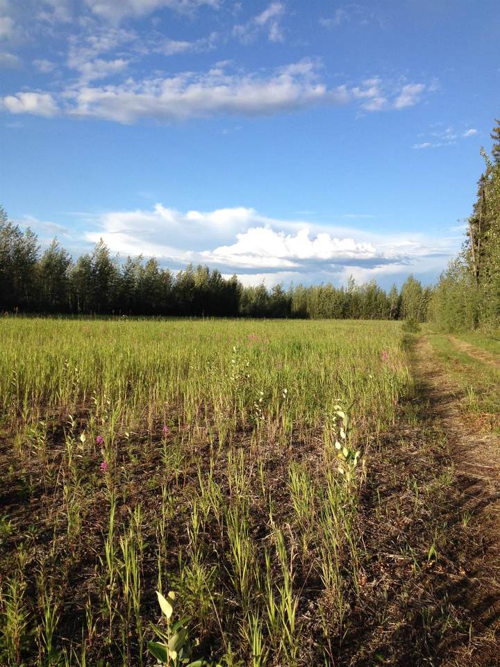 https://bt-photos.global.ssl.fastly.net/fairbanks/orig_boomver_1_159452-2.jpg