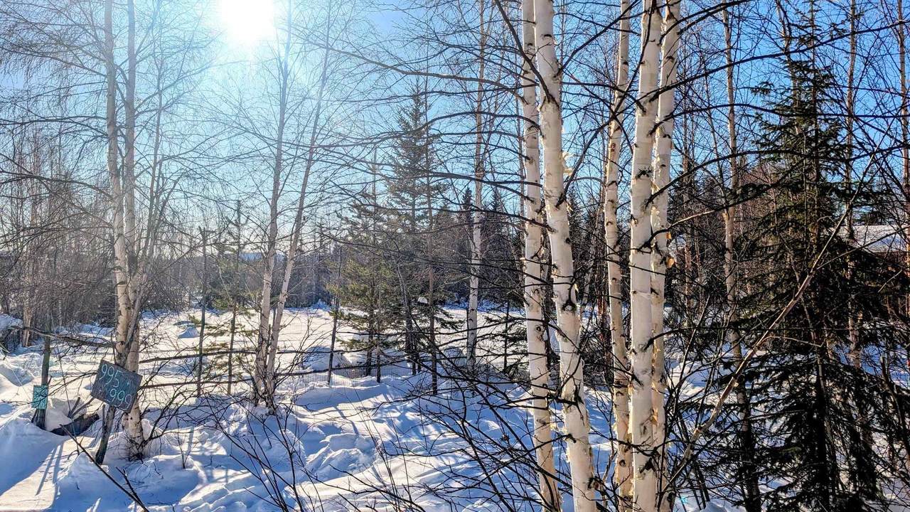 https://bt-photos.global.ssl.fastly.net/fairbanks/1280_boomver_1_159715-2.jpg