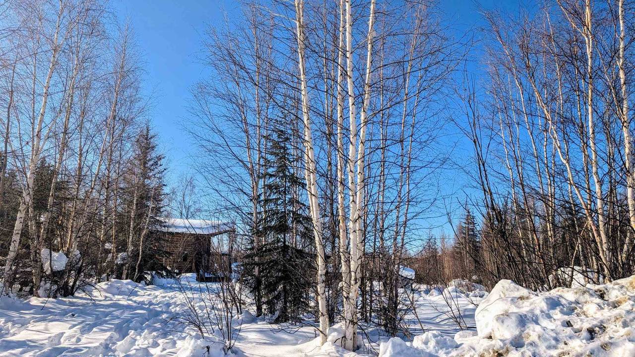 https://bt-photos.global.ssl.fastly.net/fairbanks/1280_boomver_1_159715-2.jpg