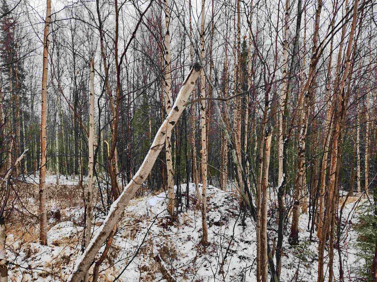 https://bt-photos.global.ssl.fastly.net/fairbanks/1280_boomver_1_159756-2.jpg