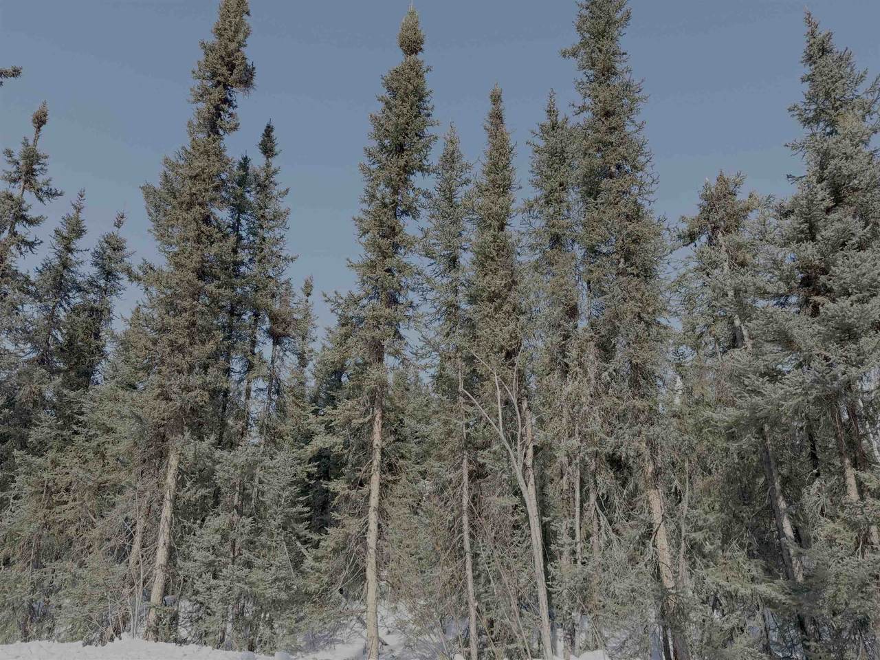 https://bt-photos.global.ssl.fastly.net/fairbanks/1280_boomver_1_159758-2.jpg
