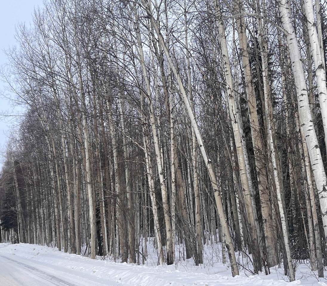 https://bt-photos.global.ssl.fastly.net/fairbanks/1280_boomver_1_159836-2.jpg