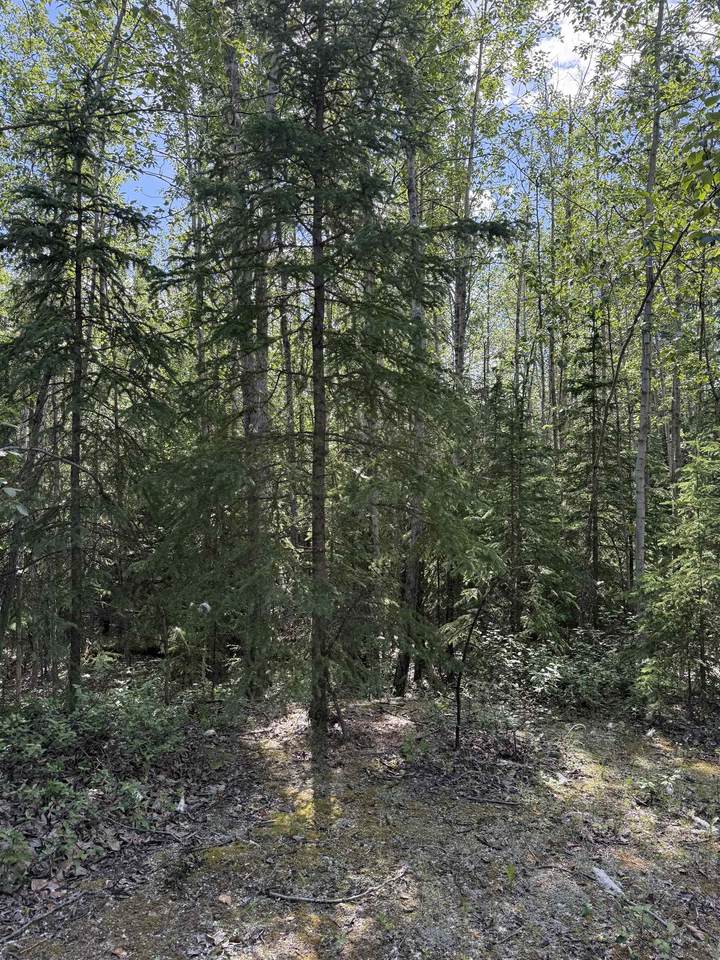 https://bt-photos.global.ssl.fastly.net/fairbanks/1280_boomver_1_159893-2.jpg