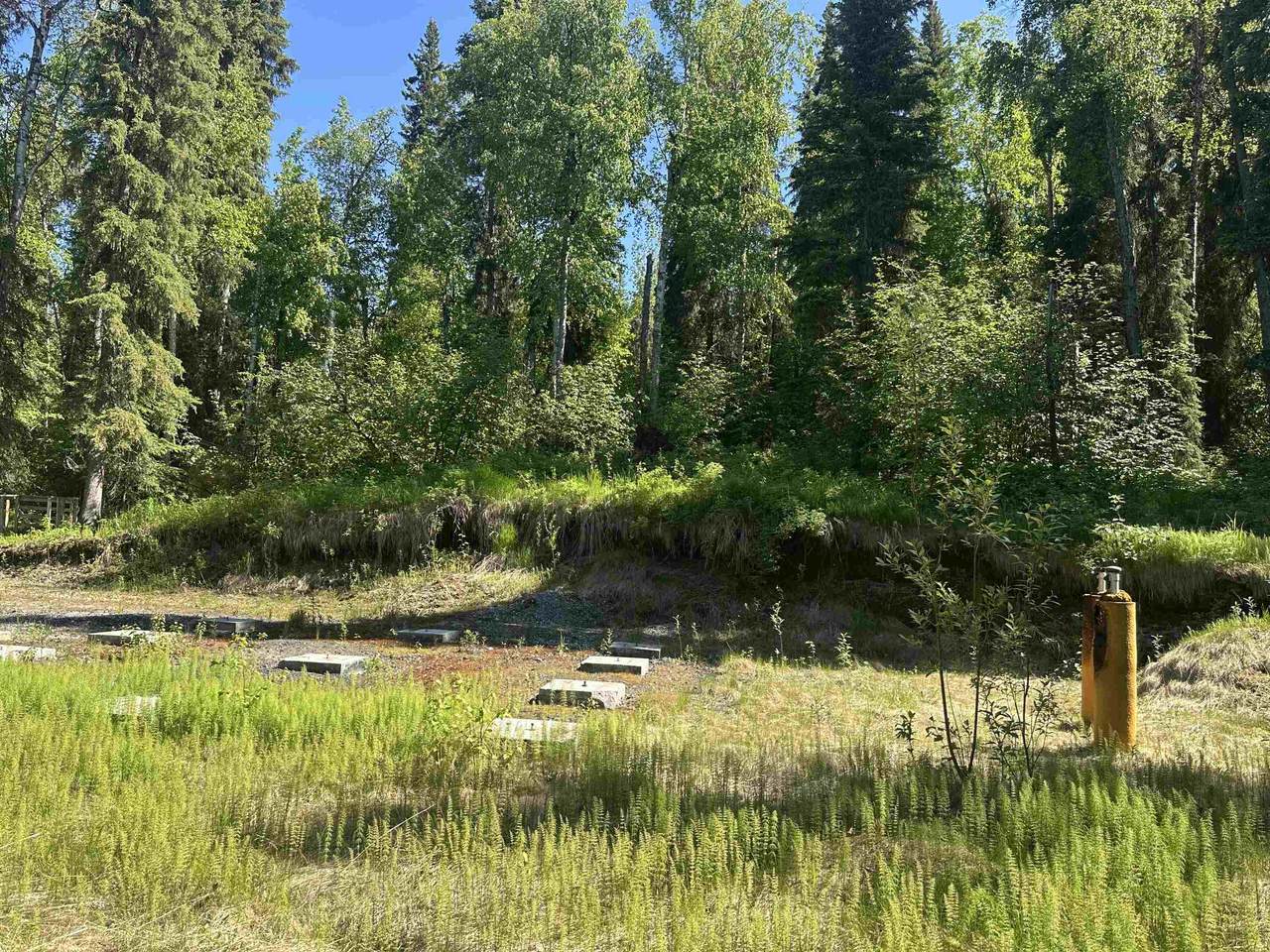 2133 Cripple Creek Road - Photo 1