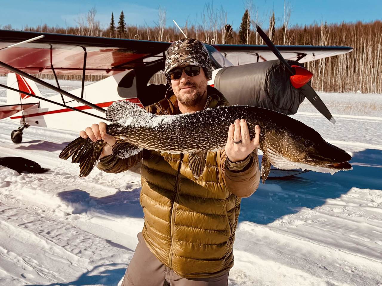 https://bt-photos.global.ssl.fastly.net/fairbanks/orig_boomver_1_159925-2.jpg