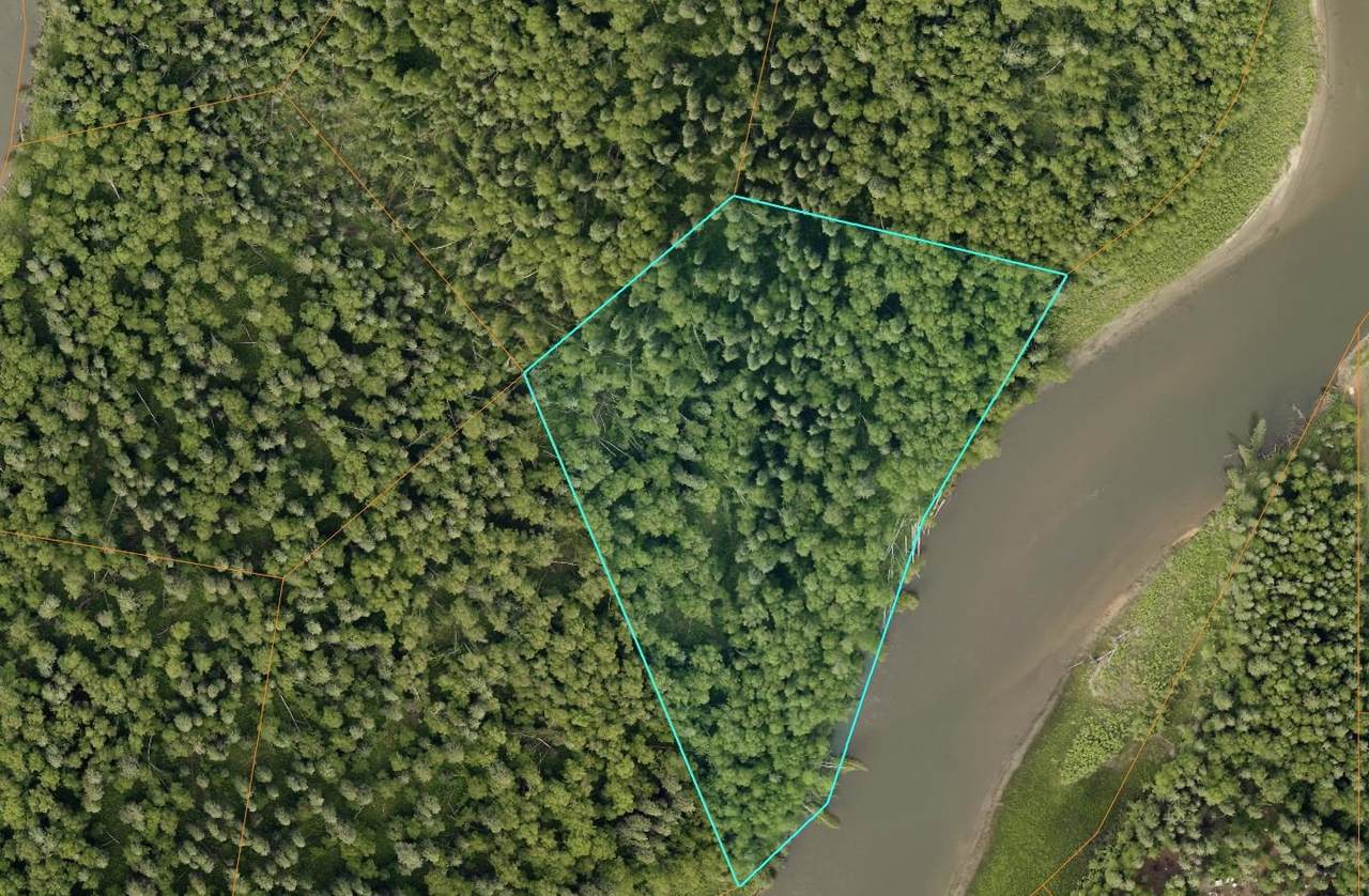 Nhn Chena River - Photo 1