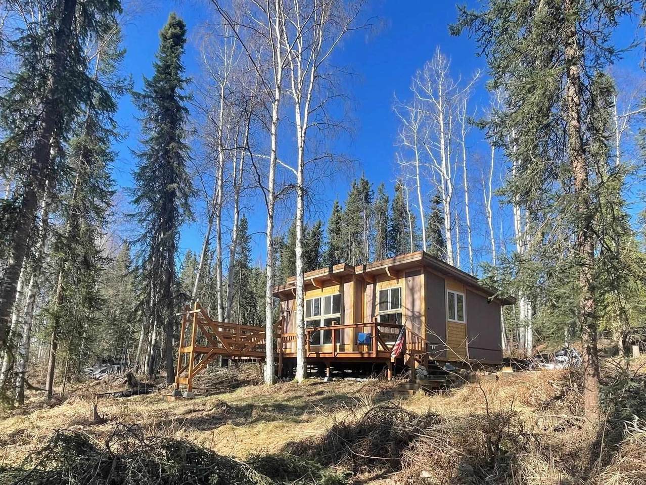 1011 Old Chatanika Trail - Photo 1