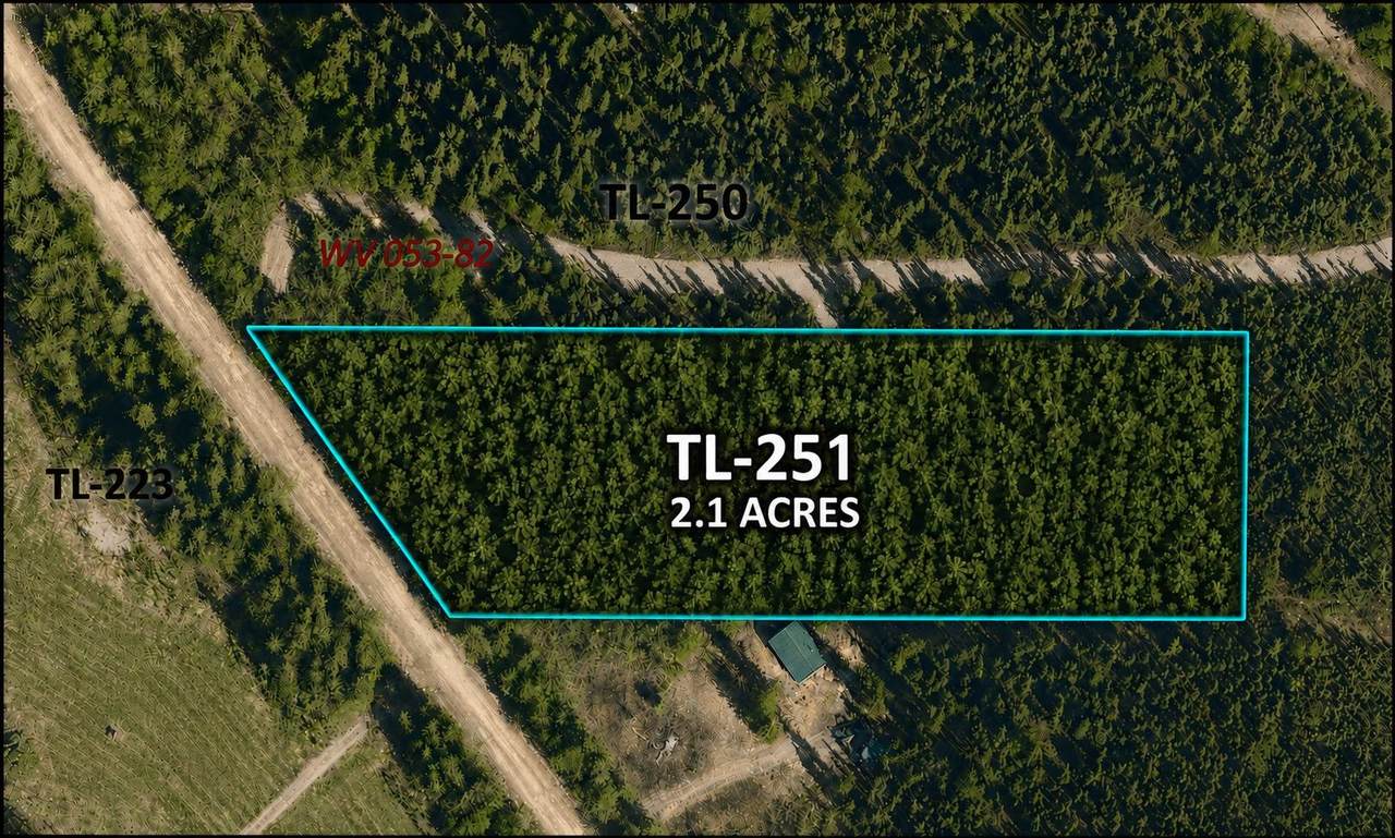 TL251 Old Valdez Trail - Photo 1