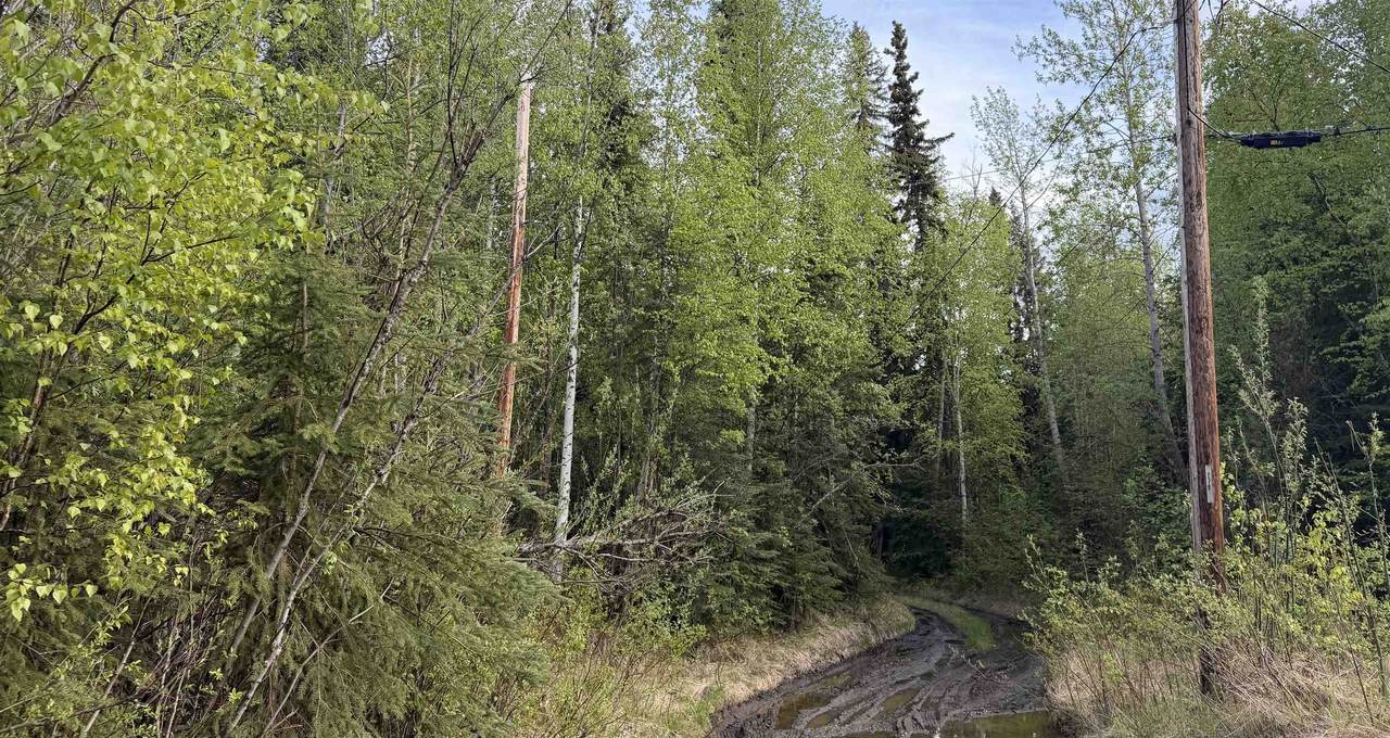https://bt-photos.global.ssl.fastly.net/fairbanks/1280_boomver_1_160233-2.jpg