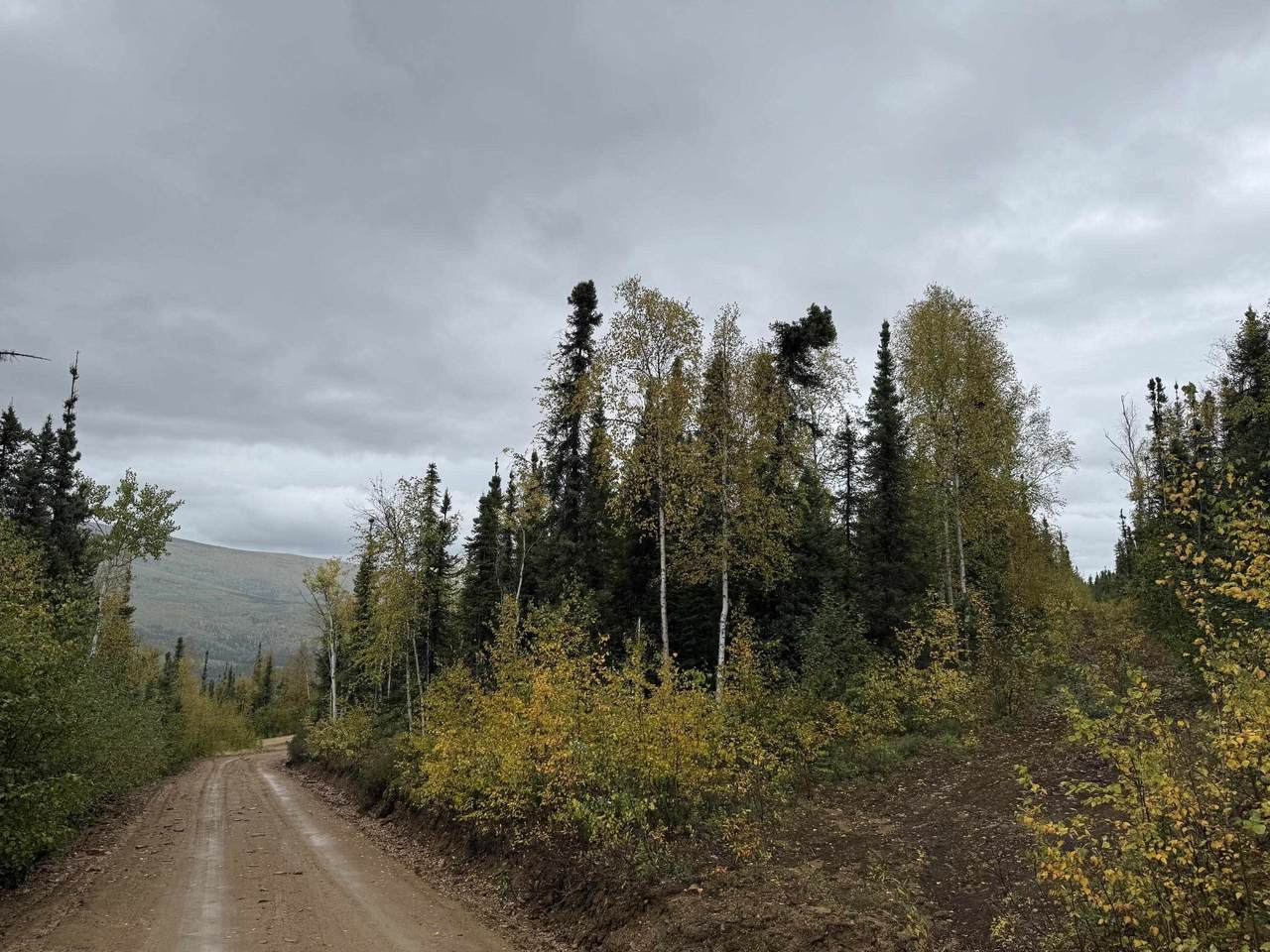 https://bt-photos.global.ssl.fastly.net/fairbanks/orig_boomver_1_160326-2.jpg