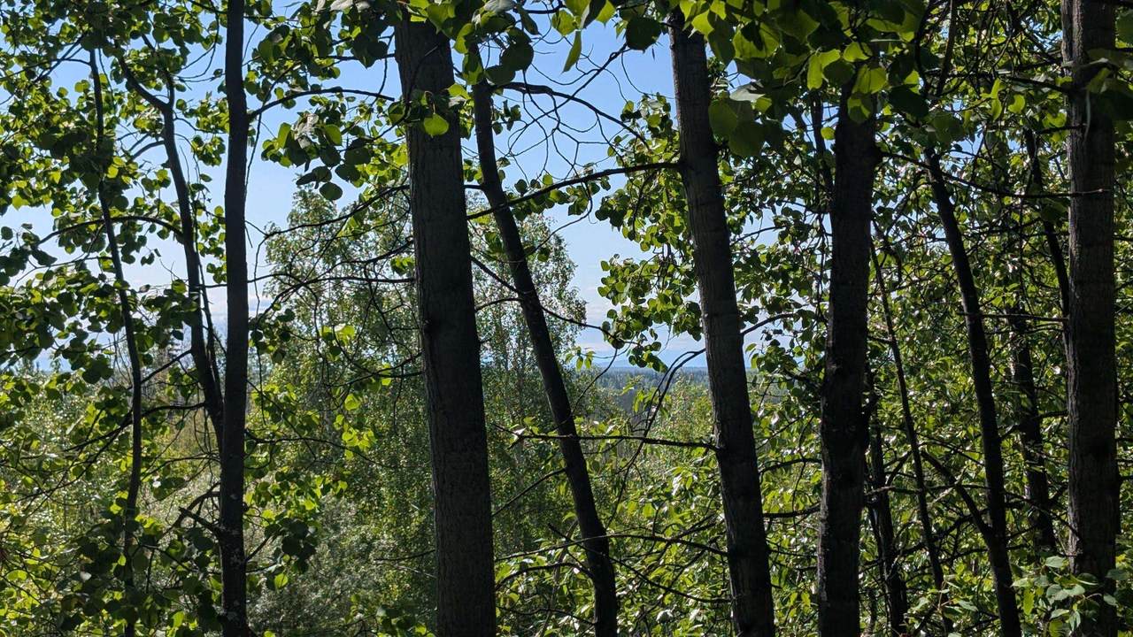 https://bt-photos.global.ssl.fastly.net/fairbanks/1280_boomver_1_160397-2.jpg