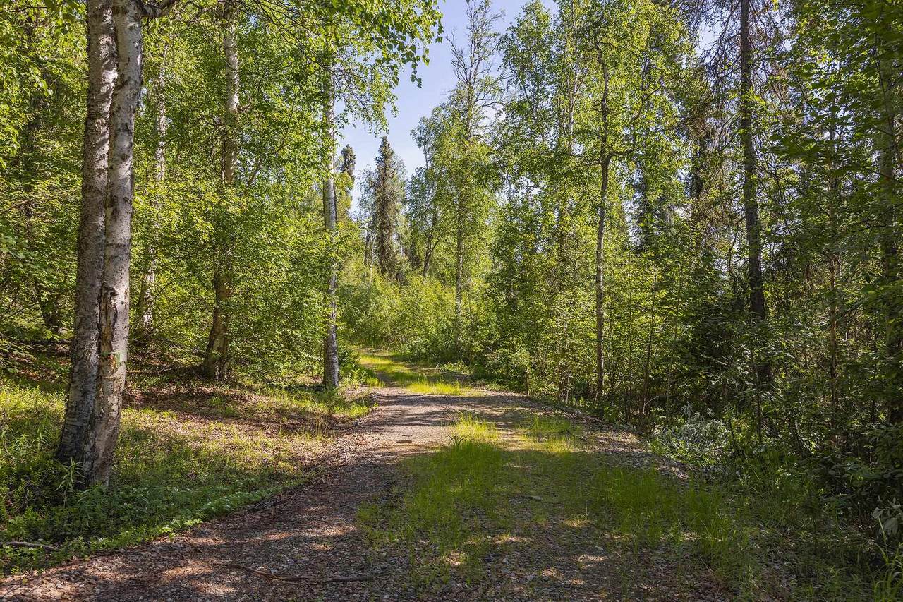 2048 Pine Cone Lane - Photo 1
