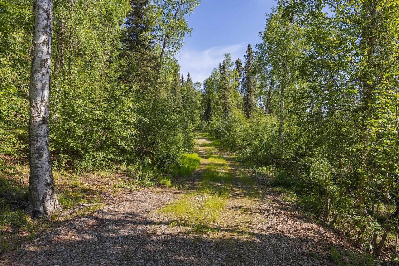 https://bt-photos.global.ssl.fastly.net/fairbanks/1280_boomver_1_160562-2.jpg