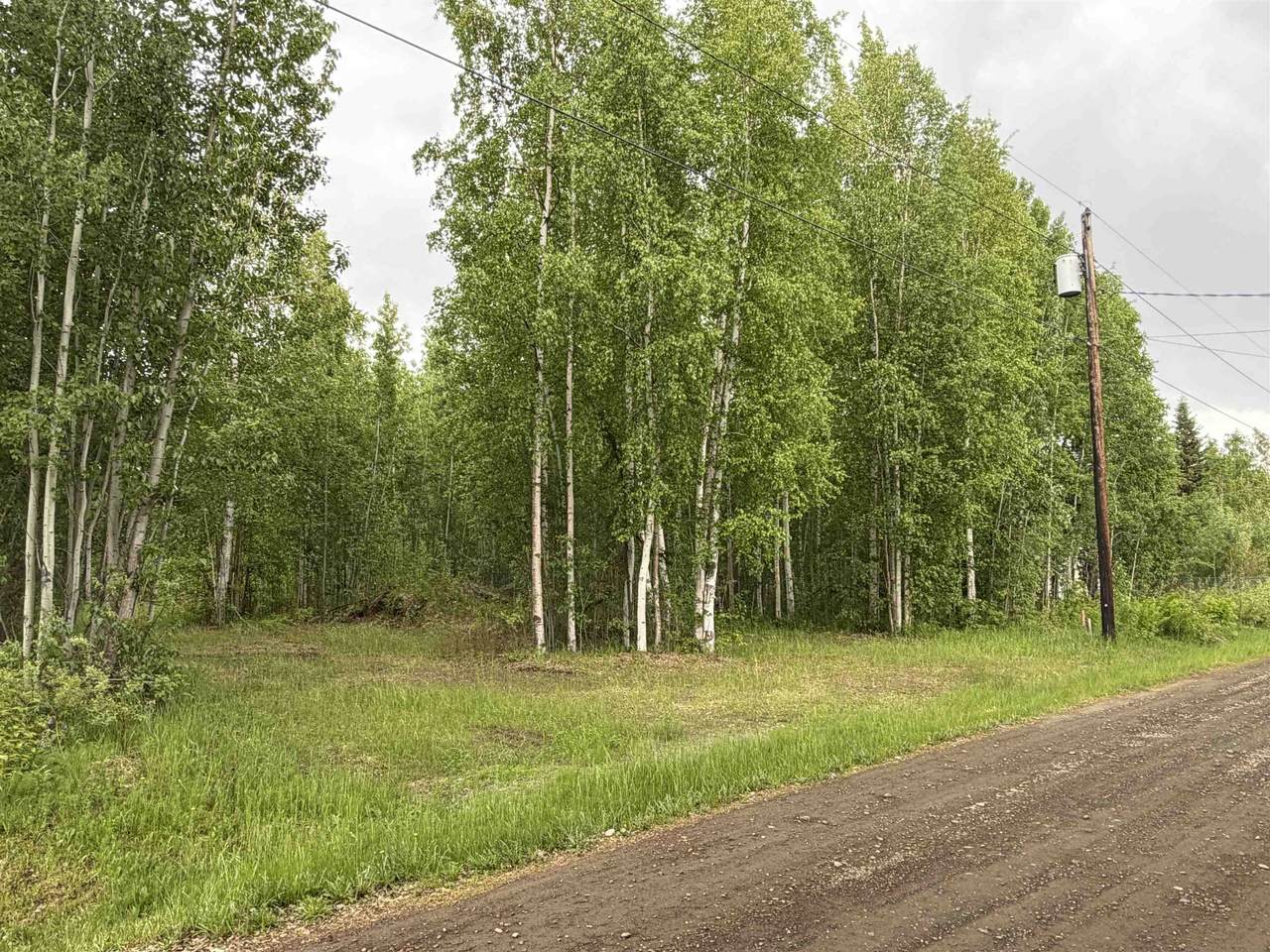 NHN Leslie Street - Photo 1