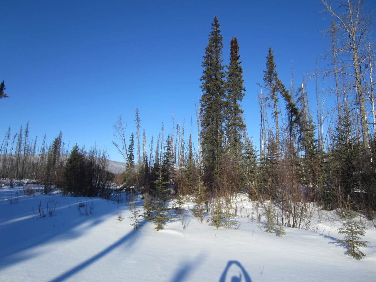 https://bt-photos.global.ssl.fastly.net/fairbanks/1280_boomver_1_160660-2.jpg