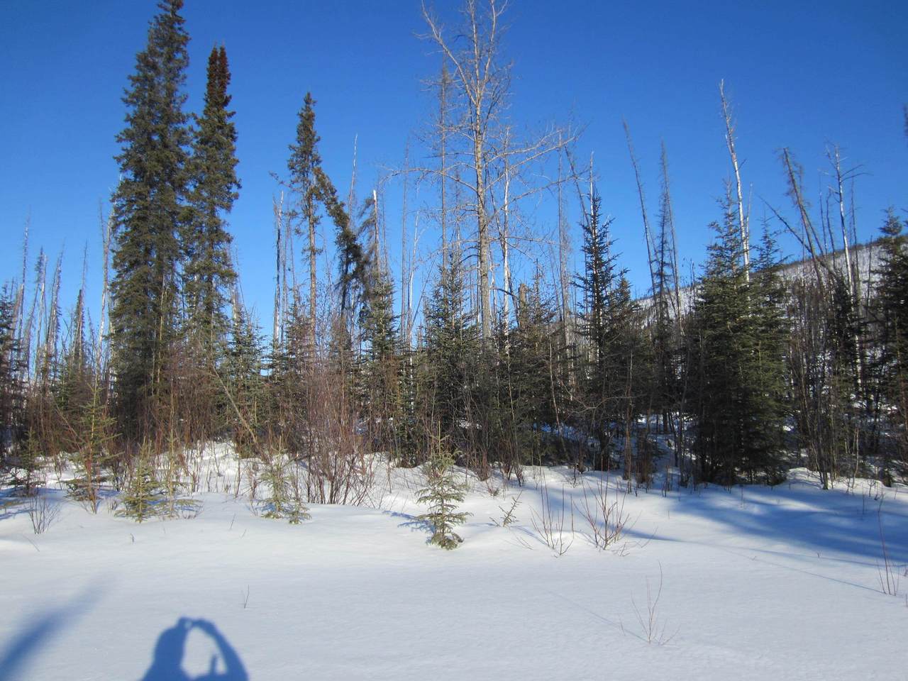 https://bt-photos.global.ssl.fastly.net/fairbanks/1280_boomver_1_160660-2.jpg
