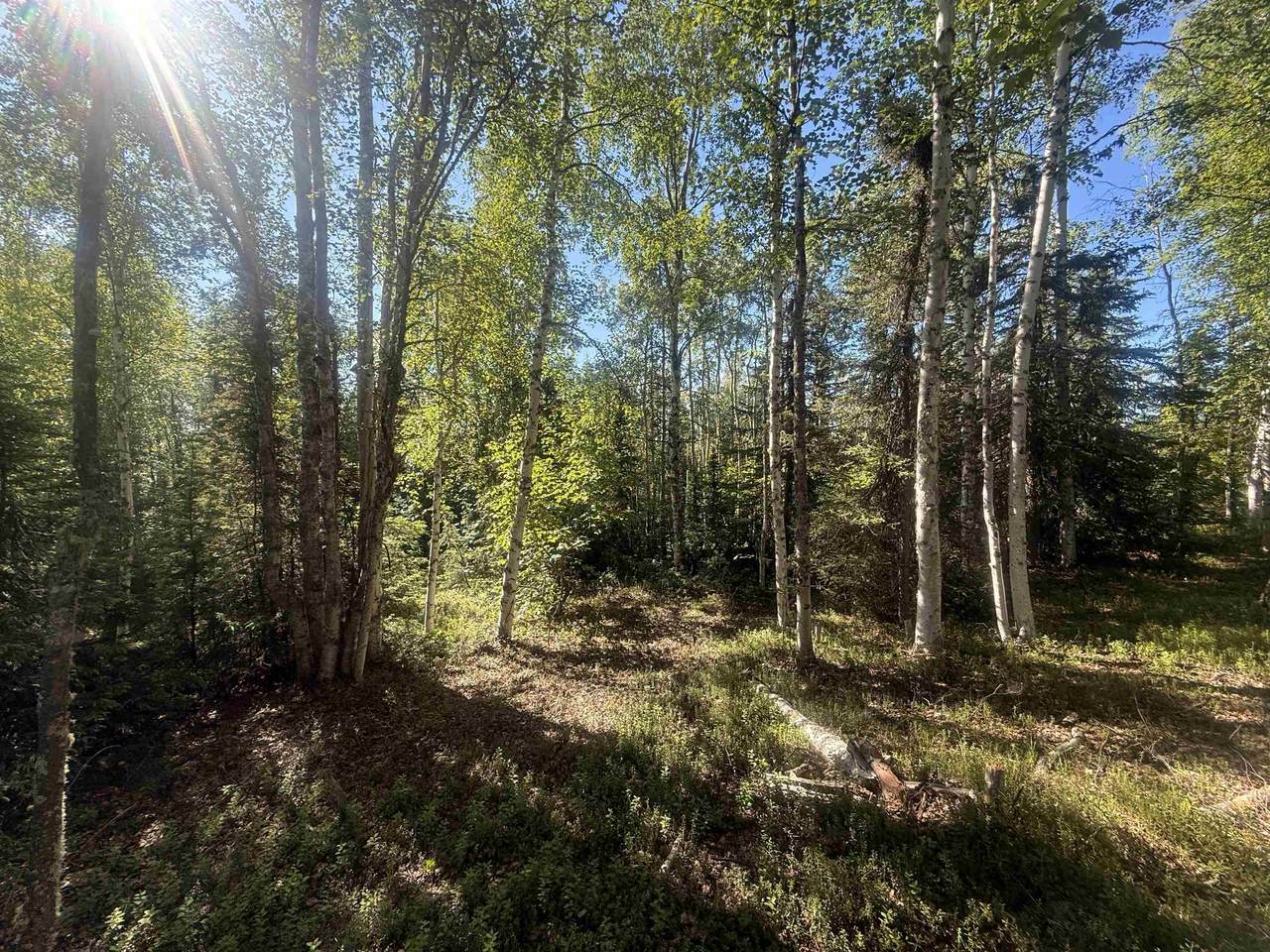 https://bt-photos.global.ssl.fastly.net/fairbanks/1280_boomver_1_160813-2.jpg