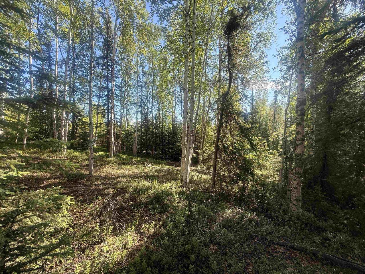 https://bt-photos.global.ssl.fastly.net/fairbanks/1280_boomver_1_160813-2.jpg