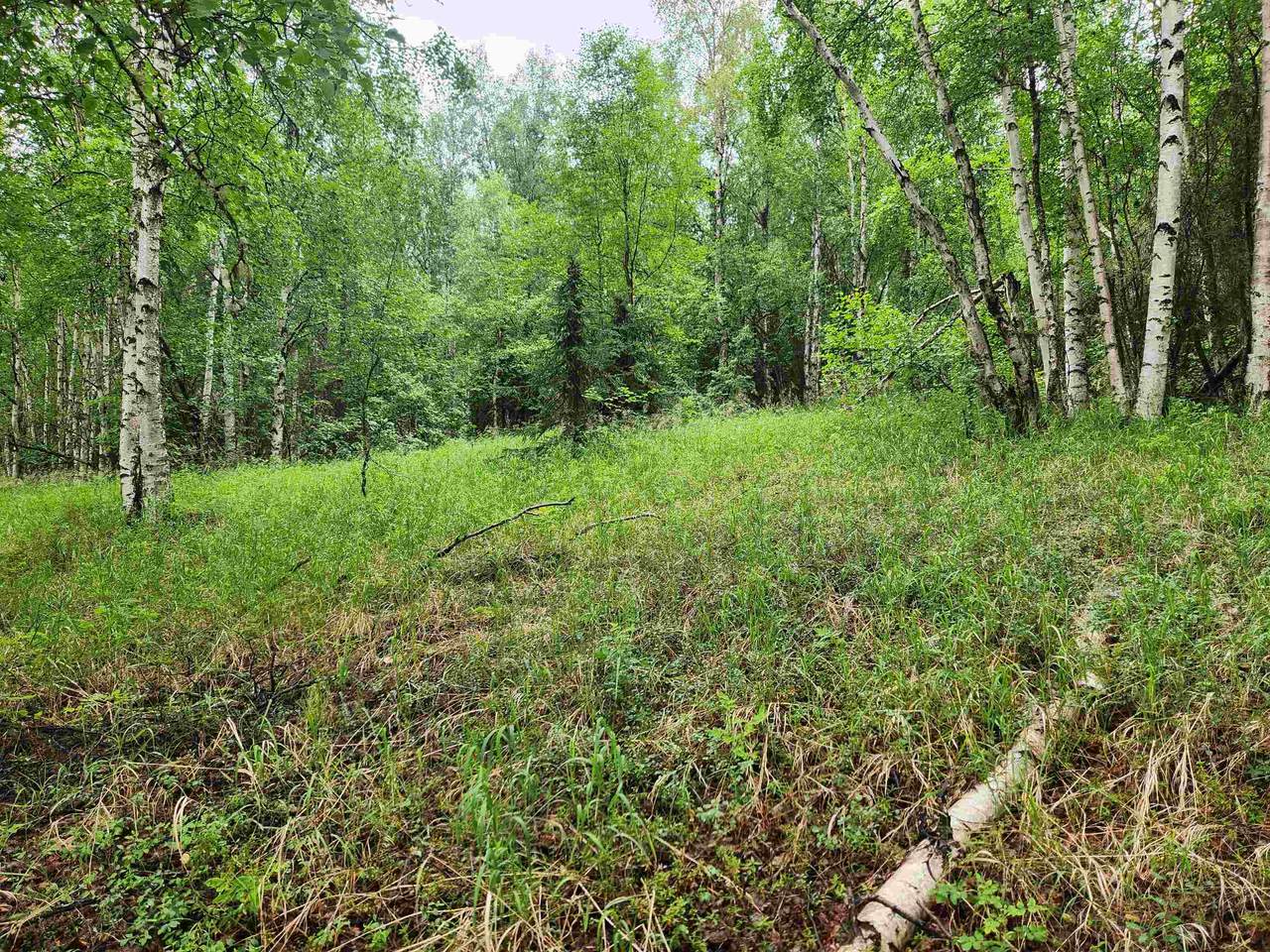 680 Leuthold Drive - Photo 1