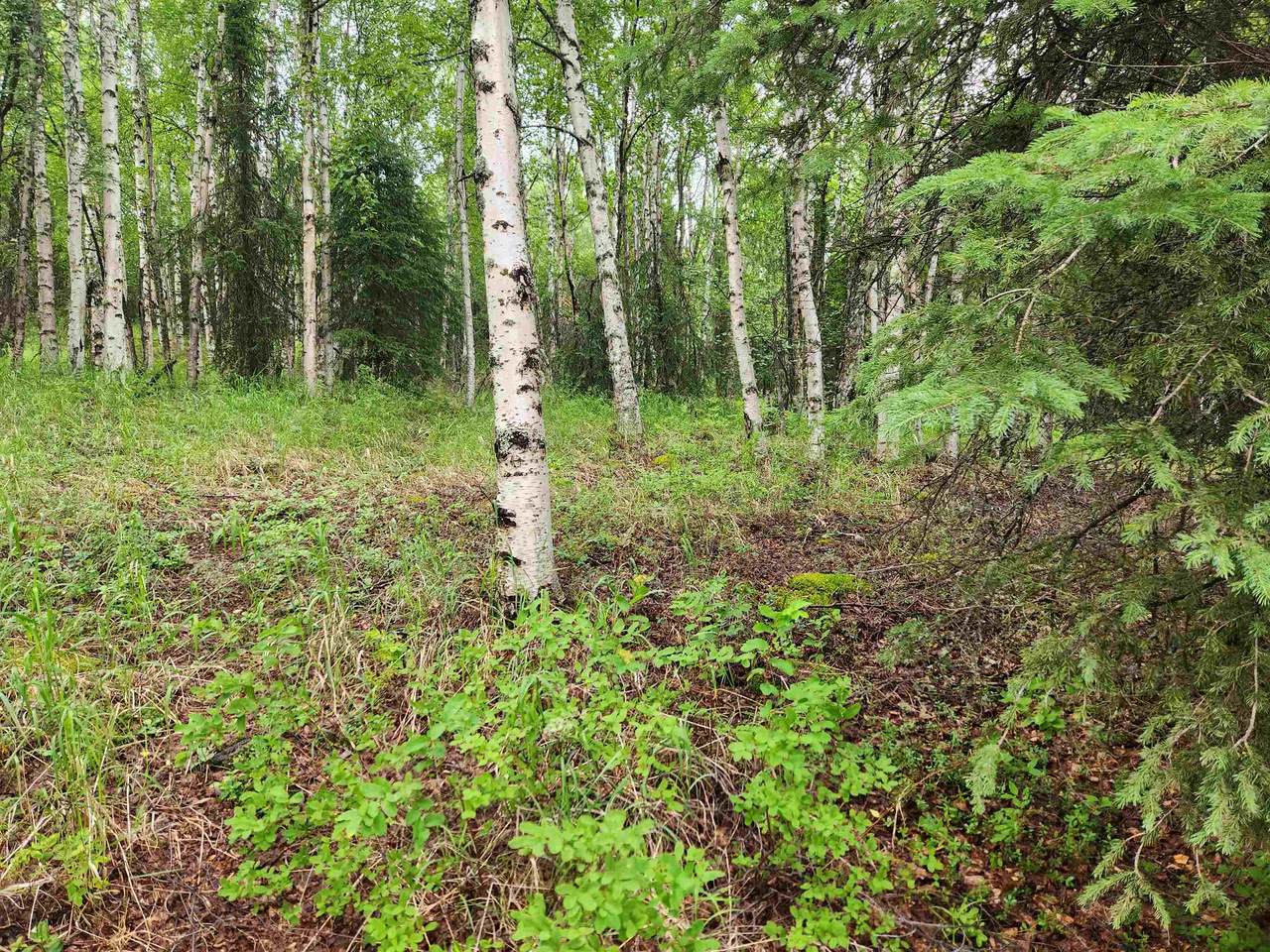 https://bt-photos.global.ssl.fastly.net/fairbanks/1280_boomver_1_160844-2.jpg
