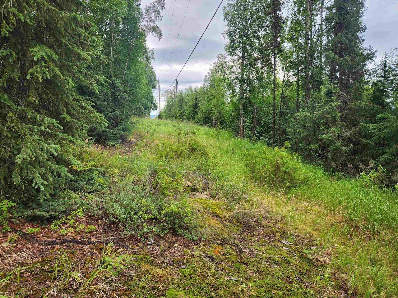 https://bt-photos.global.ssl.fastly.net/fairbanks/1280_boomver_1_160844-2.jpg