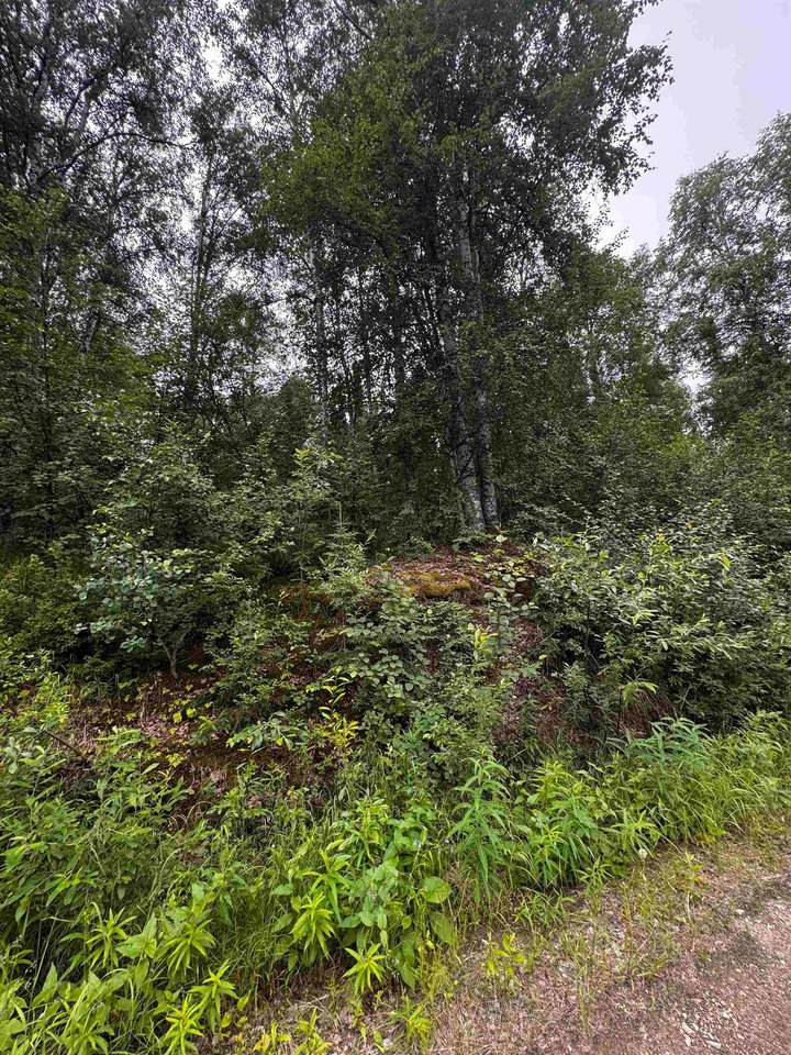 https://bt-photos.global.ssl.fastly.net/fairbanks/1280_boomver_1_160847-2.jpg