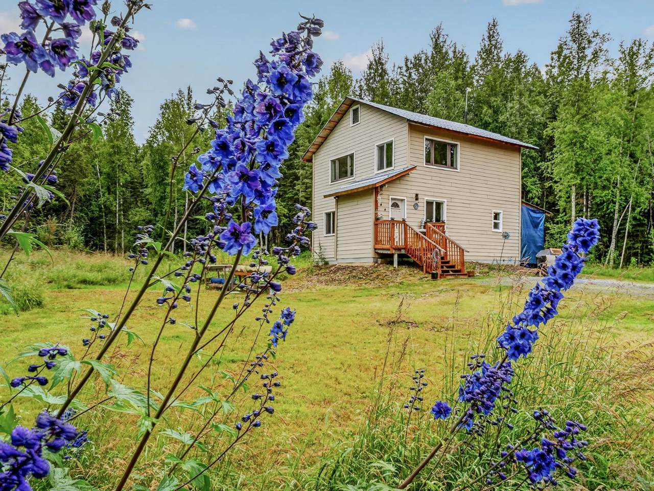 6000 Chena Hot Springs Road - Photo 1