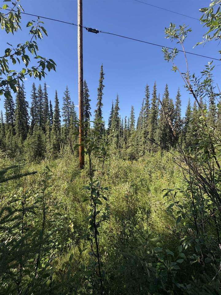https://bt-photos.global.ssl.fastly.net/fairbanks/1280_boomver_1_160905-2.jpg
