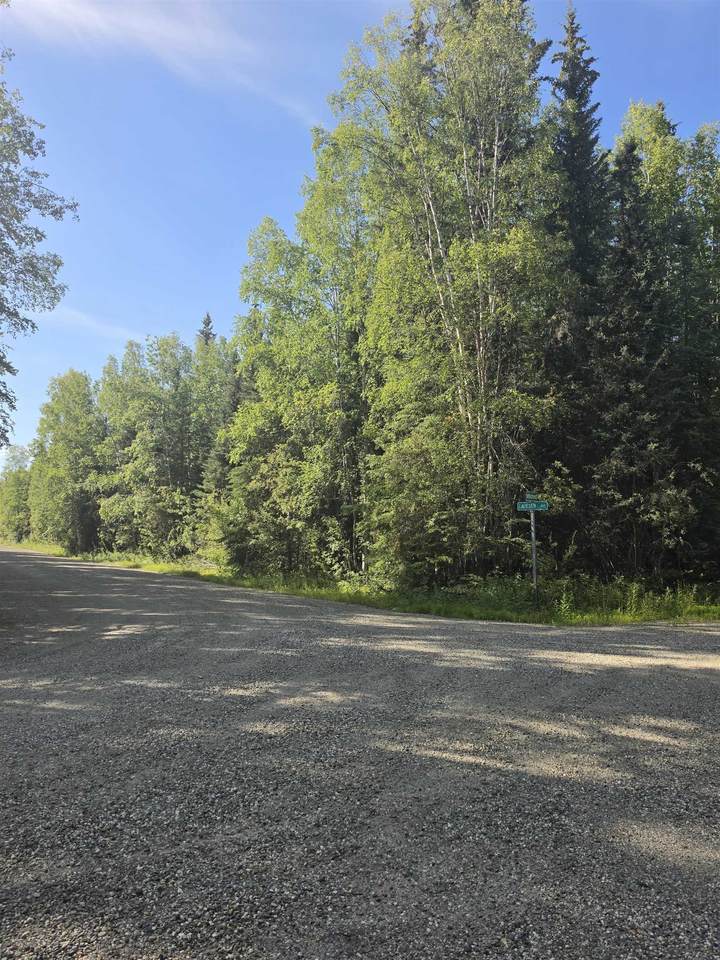 NHN Lauesen Avenue - Photo 1