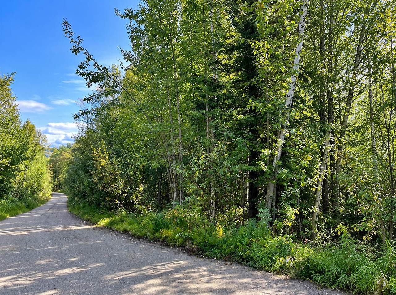 https://bt-photos.global.ssl.fastly.net/fairbanks/1280_boomver_1_161117-2.jpg