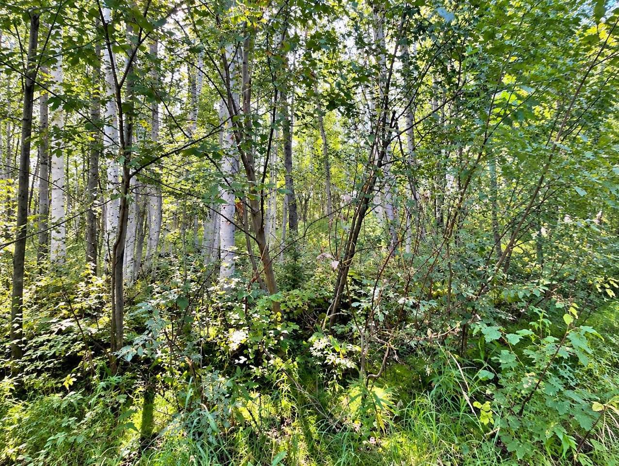 https://bt-photos.global.ssl.fastly.net/fairbanks/1280_boomver_1_161117-2.jpg