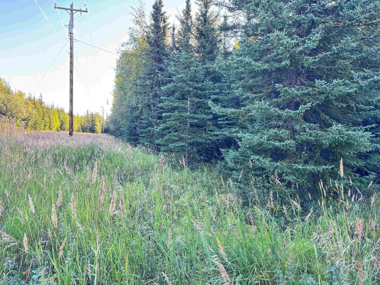 3567 Nistler Road - Photo 1