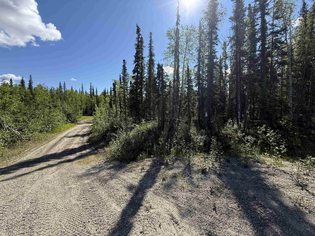 LOT 14 Timber Trail - Photo 1