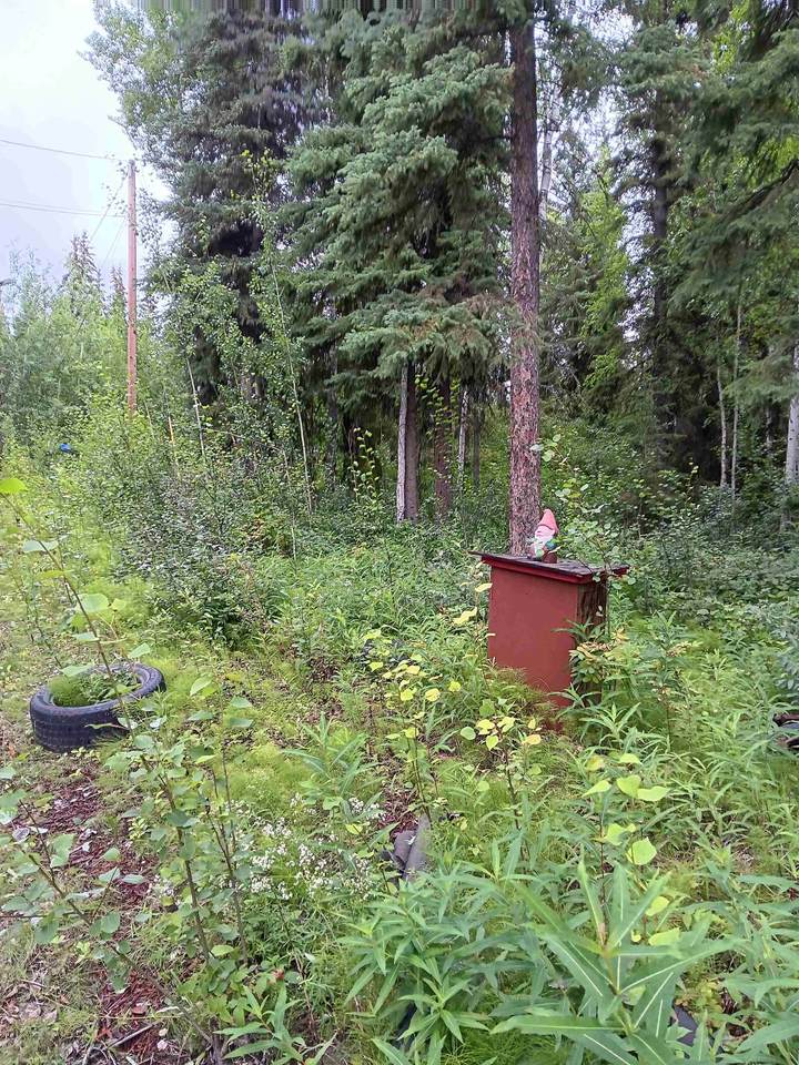 https://bt-photos.global.ssl.fastly.net/fairbanks/1280_boomver_1_161250-2.jpg