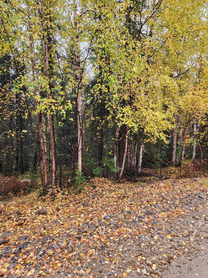 https://bt-photos.global.ssl.fastly.net/fairbanks/1280_boomver_1_161262-2.jpg