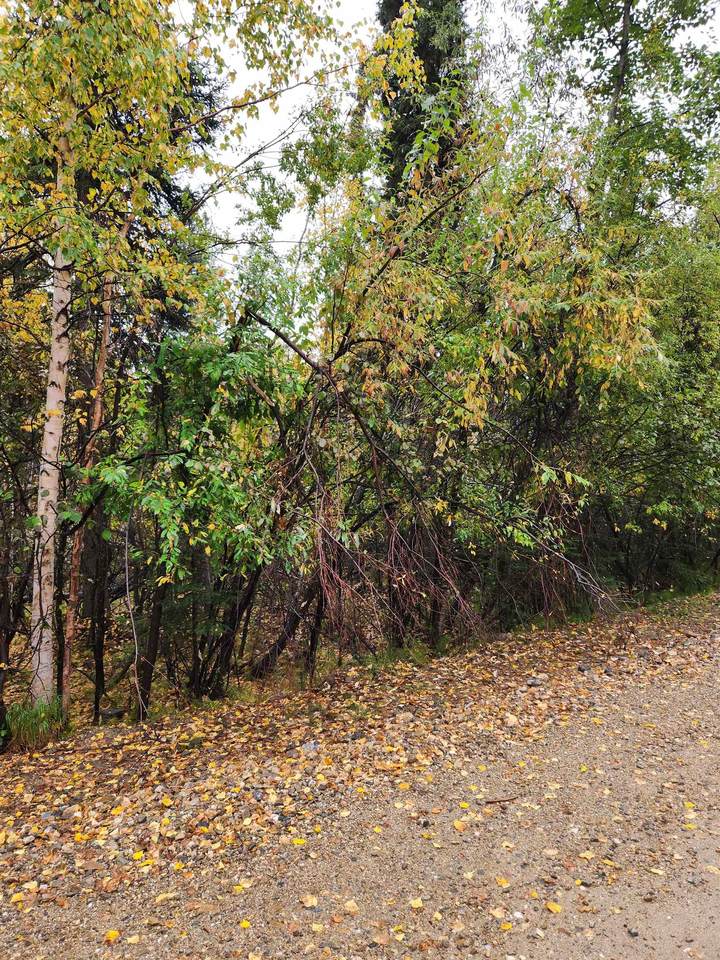 https://bt-photos.global.ssl.fastly.net/fairbanks/1280_boomver_1_161262-2.jpg