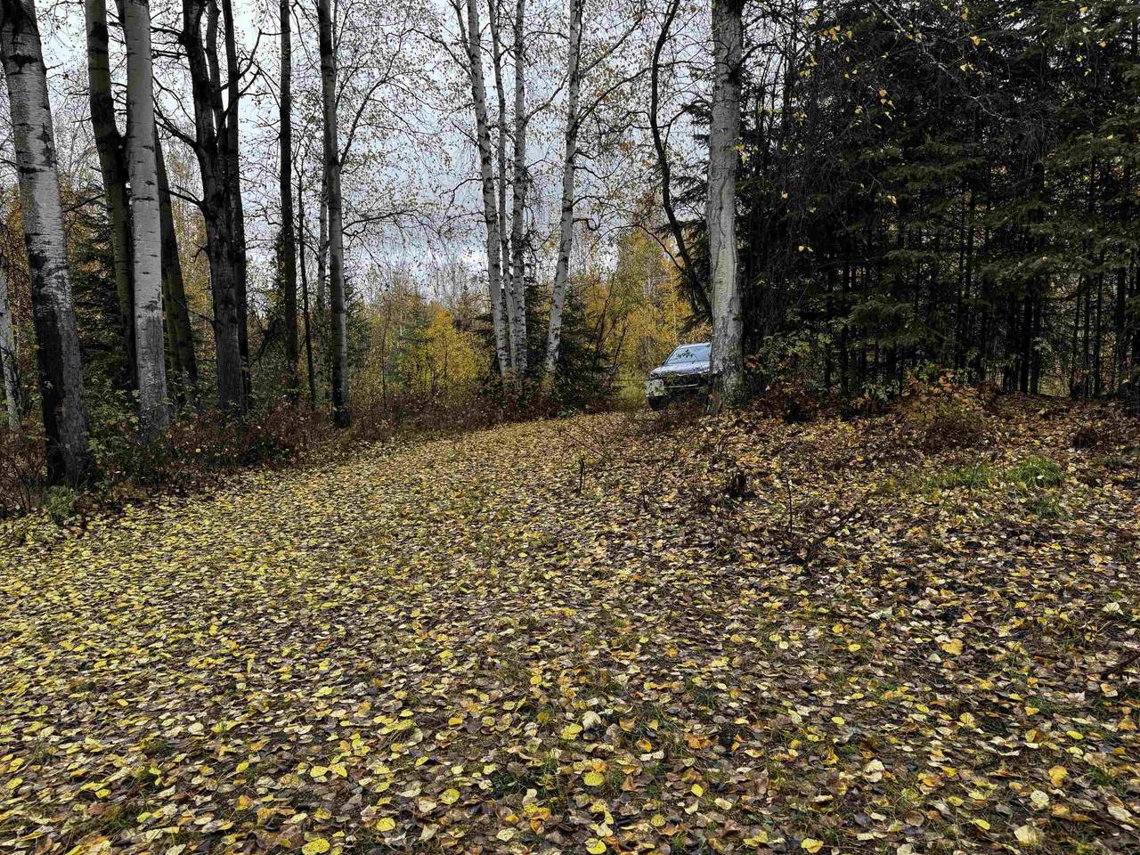https://bt-photos.global.ssl.fastly.net/fairbanks/1280_boomver_1_161403-2.jpg