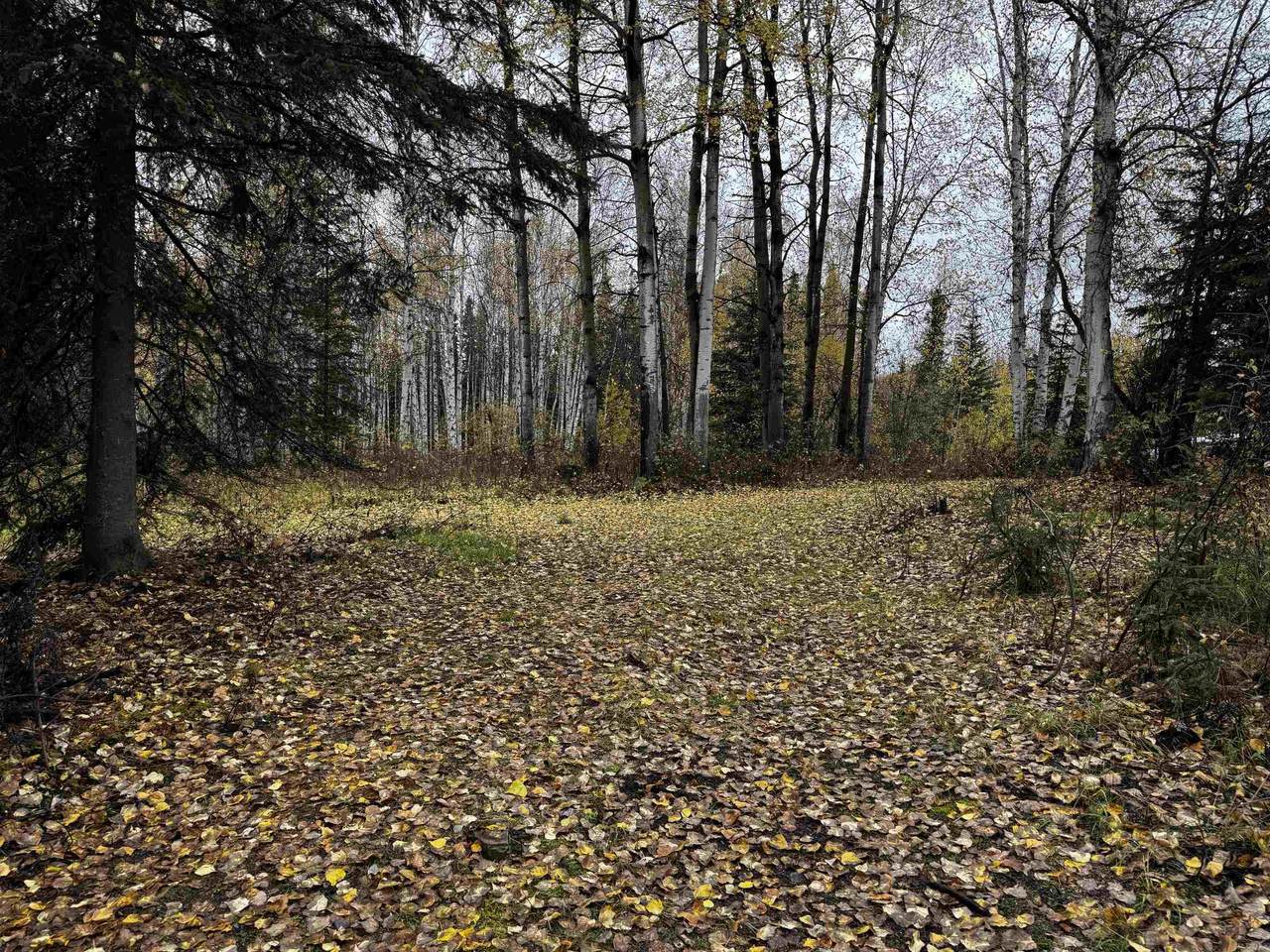 https://bt-photos.global.ssl.fastly.net/fairbanks/1280_boomver_1_161403-2.jpg