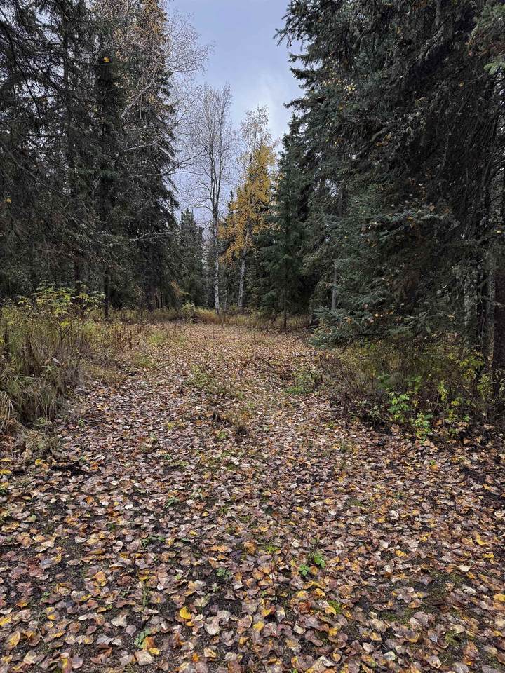 https://bt-photos.global.ssl.fastly.net/fairbanks/1280_boomver_1_161403-2.jpg