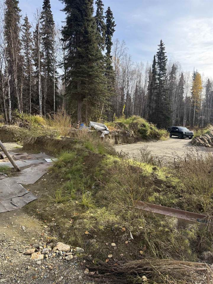 https://bt-photos.global.ssl.fastly.net/fairbanks/1280_boomver_1_161451-2.jpg