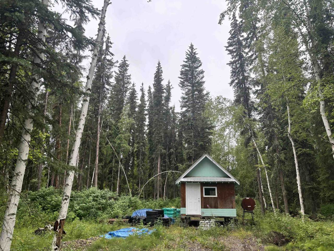 3125 Treaty Street - Photo 1