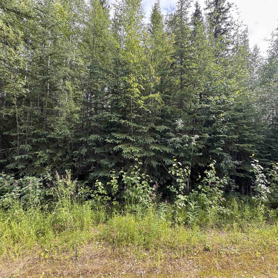 https://bt-photos.global.ssl.fastly.net/fairbanks/1280_boomver_2_159840-2.jpg