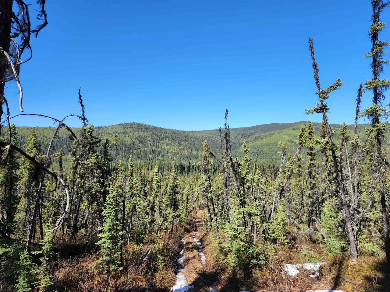 https://bt-photos.global.ssl.fastly.net/fairbanks/1280_boomver_2_160041-2.jpg