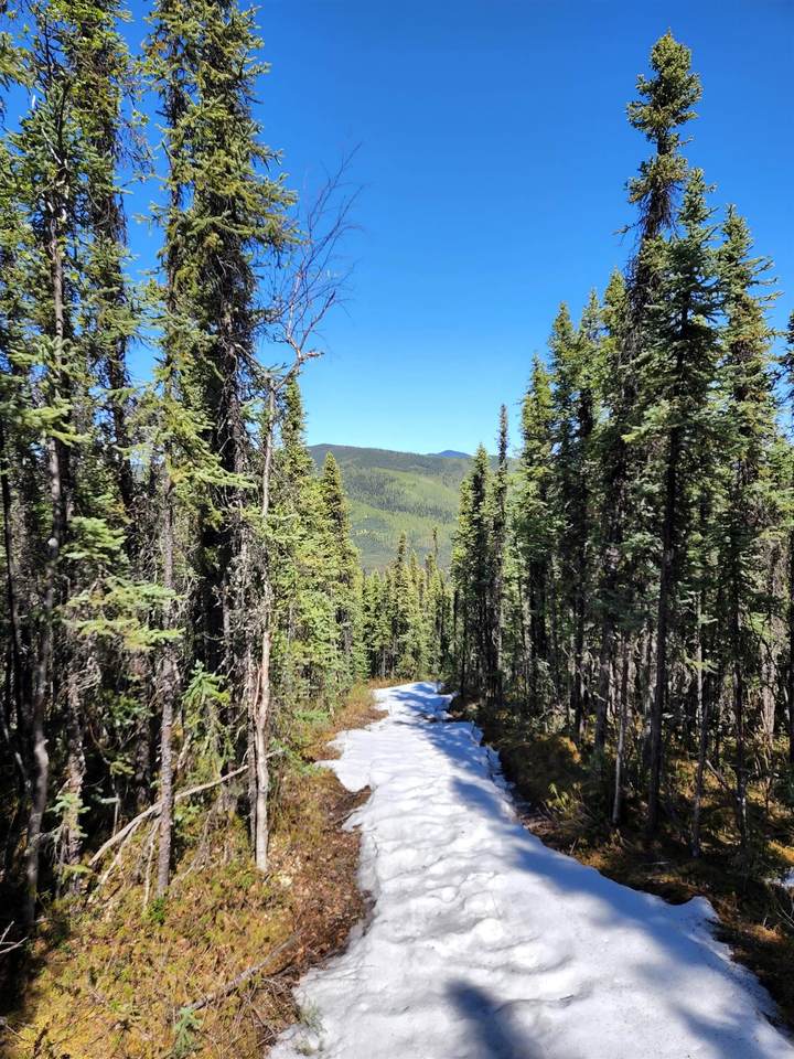 https://bt-photos.global.ssl.fastly.net/fairbanks/1280_boomver_2_160041-2.jpg