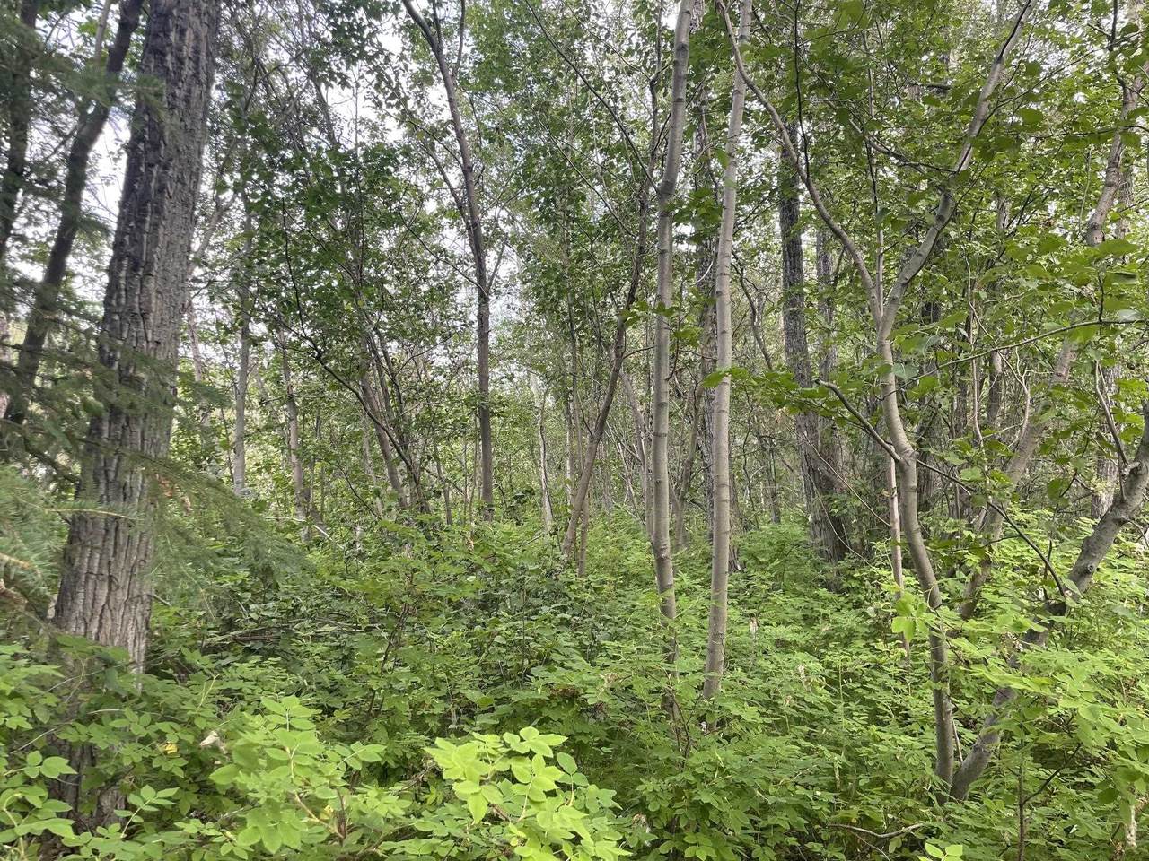 https://bt-photos.global.ssl.fastly.net/fairbanks/1280_boomver_2_160928-2.jpg