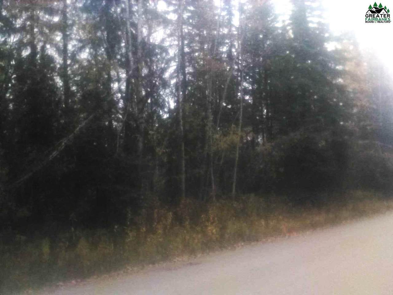 TL217 Old Valdez Trail - Photo 1