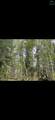 Mile 132 Elliott Highway - Photo 15