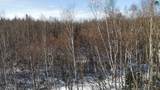 NHN Orchid Drive - Photo 21