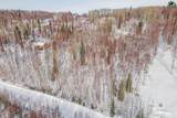 NHN Gold Mine Trail - Photo 5